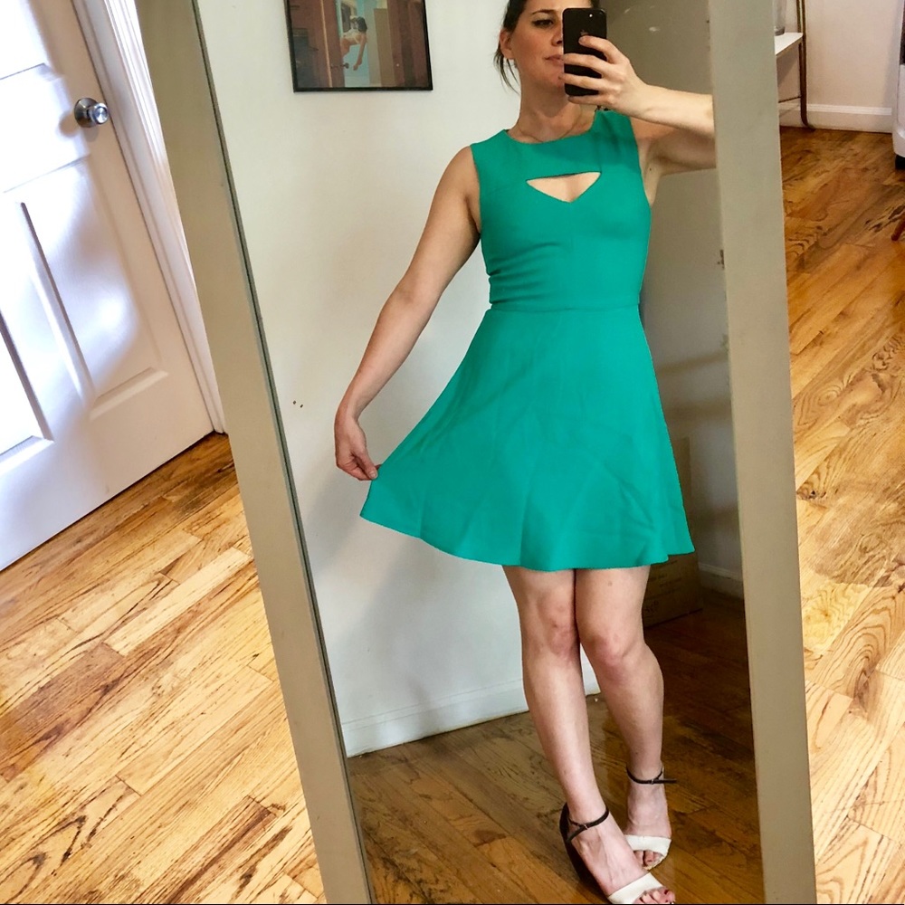Spring green fit and flare French Connection dress